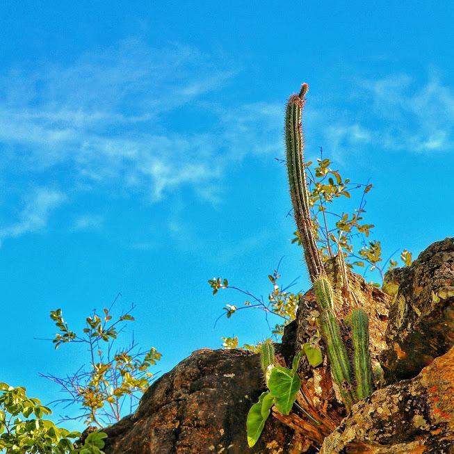 Pousada Chapada Das Mesas Riachao  Exterior foto